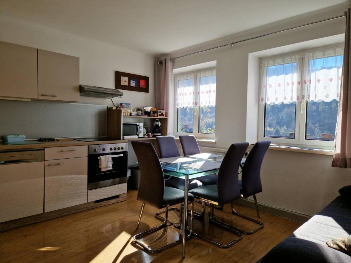 Eisenerz Stefan Apartment / Ferien Wohnung Extérieur photo